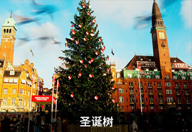 廣東蒙泰高新纖維股份有限公司，蒙泰紡織，蒙泰絲，丙綸異形絲，丙綸FDY網絡絲，丙綸FDY倍捻絲，差別化丙綸纖維絲，丙綸DTY絲，丙綸細旦絲，超細旦丙綸絲，丙綸網絡絲，丙綸異形絲，丙綸中空絲，高強丙綸倍捻絲，丙綸倍捻絲，蒙泰丙綸DTY絲，廣東蒙泰